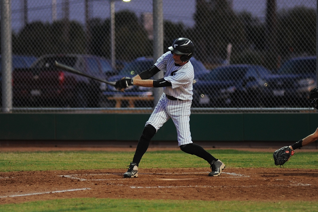 Seals_2019-09-19 (306).JPG - (c)2010 DeVetter